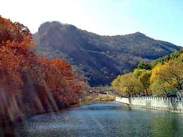 新澳天天开奖资料大全旅游团，消毒湿纸巾